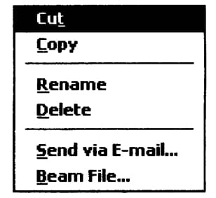 Пример контекстного меню программы File Explorer 