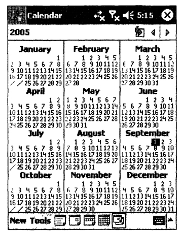Внешний вид приложения Calendar в режиме просмотра событий за год 